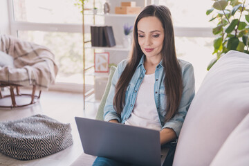 Sticker - Portrait of attractive focused skilled cheery long-haired woman sitting on divan using laptop working part time at home indoors