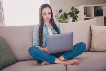 Sticker - Portrait of attractive skilled focused long-haired woman sitting on divan using laptop working at home indoors