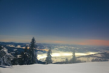 Beautiful nature starry sky with snowy fir