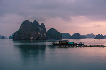 Wall Mural - Ha Long Bay landscape, Vietnam