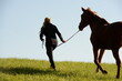 Spaziergang mit Pferd. Junge Frau mit Pferd im Wald