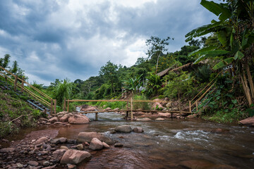 Wall Mural - Small streams that flow from the rainforest