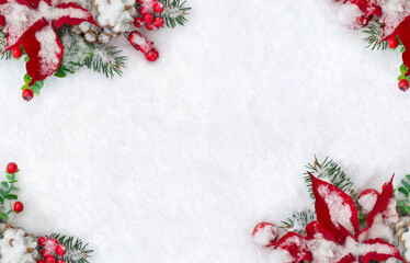 Wall Mural - christmas decoration. frame of flowers of red poinsettia, branches christmas tree, pine cone and red