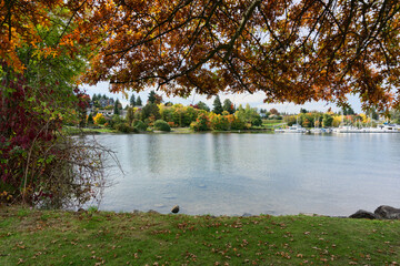 Wall Mural - Autumn Lake Shoreline Colors 10