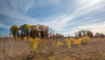 Wall Mural - Fall colors over the prairie under blue cloudy skys