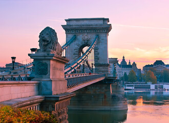 Wall Mural - The lion sculpture on the Chain Bridge at sunrise, Budapest, Hungary