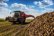 Machine for loading and harvesting sugar beet on field near pile of sugar beet, cloudy blue sky
