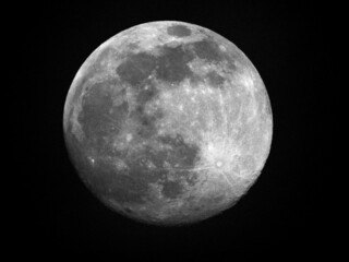 Wall Mural - full moon with all craters and seas