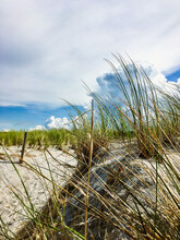 Sand Dunes On A Windy Day On The Beach With Blue Sky And White Clouds, Beach Entrance, Copy Space