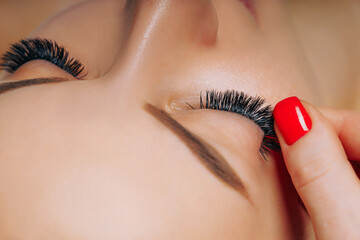 Wall Mural - Eyelash Extension Procedure. Woman Eye with Long Eyelashes. Close up, selective focus.