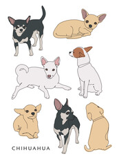  Chihuahua Dog Illustrations in Various Poses and Coat Markings, Colorings