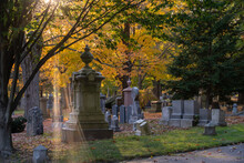 Autumn Day In Boston At Forest Hills Cemetery In Jamaica Plain