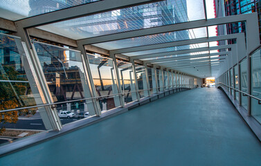 Wall Mural - Barangaroo buildings and overpass in Sydney on a beautiful morning, Australia.