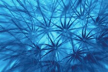 Abstract Blue Flower Close Up, Negative Photo Effect