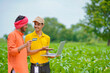 © PRASANNAPIX - Young indian banker or agronomist showing some detail to farmers in laptop at agriculture field.
