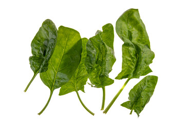 Wall Mural - Green raw spinach leaves isolated on white background, Top view, flat lay with clipping path