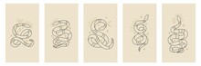 Vector Outline Snakes Set Of Mystical Magic Objects- Moon And Stars. Celestial Magic Line Serpents In Trendy Style. Spiritual Occultism Symbols, Esoteric Objects.