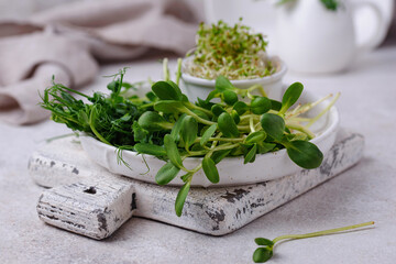 Wall Mural - Microgreen of sunflower, pea and alfalfa