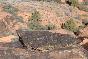 Wall Mural - Lava Deposits at Snow Canyon  State Park, St George, Utah