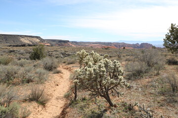 Wall Mural - White Rocks Trail, Snow Canyon State Park, Utah