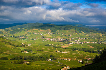 Wall Mural - Village de Quincié et vignes du Beaujolais, France