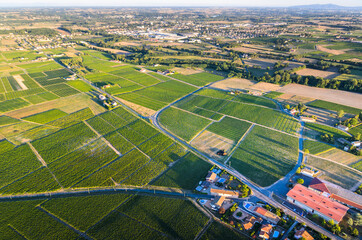 Canvas Print - Vineyards and village in Beaujolais land