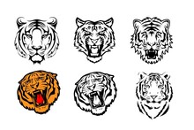 Set Of Tiger Head Tattoo