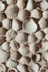 Lots of beige and white seashells. Abstract flat lay, top view pattern background