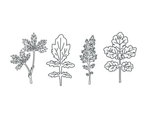 Wall Mural - linear wildflowers set. hand drawing flowers and leaves. vector illustration
