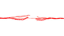 Long Red Thread On The Verge Of Breaking, Isolated On White Background. Break The Tough Red Rope. Rope Under Pressure On A White Background. Red Thread Isolated On White Background.