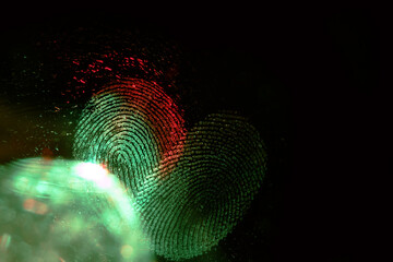 Poster - Beautiful abstract multicoloured  fingerprint on background texture for design. Macro photography view.