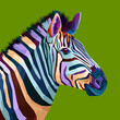 colorful zebra pop art portrait