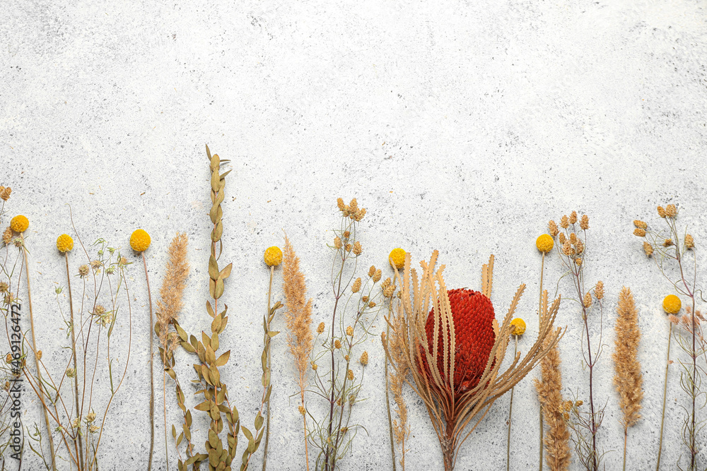 Composition with beautiful dried flowers on light background