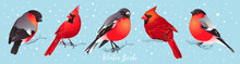 Set Of Winter Birds