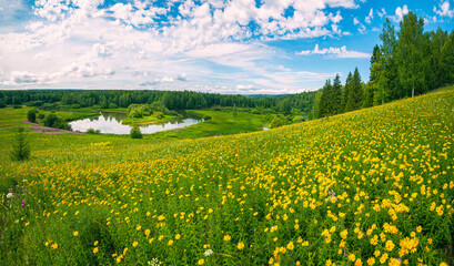 Sticker - Summer panoramic landscape with wildflowers and trees on a wide meadow, a winding river and a forest in the distance, clouds in the blue sky.