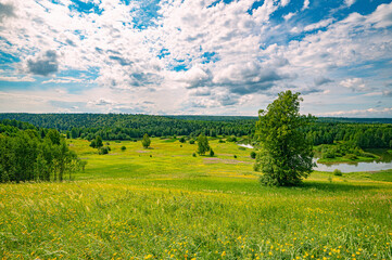 Wall Mural - Summer panoramic landscape with wildflowers and trees on a wide meadow, a winding river and a forest in the distance, clouds in the blue sky.