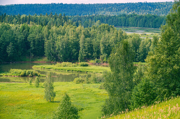 Wall Mural - Summer panoramic landscape view from a hill, trees on a wide green meadow, a winding river and a forest in the distance.