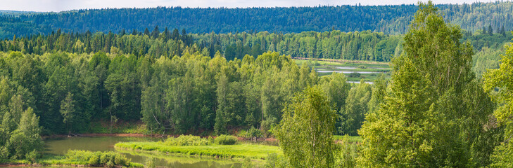 Wall Mural - Summer panoramic landscape view from a hill, trees on a wide green meadow, a winding river and a forest in the distance.
