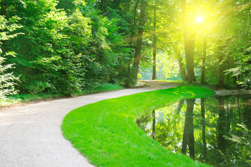 Wall Mural - Forest and pond with reflection of trees and sun.