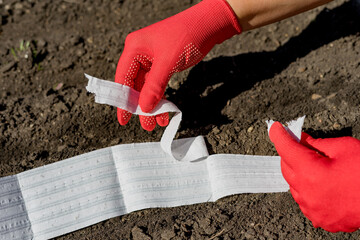 Close-up view of woman hands in gloves planting vegetables with the help of a seed tape. 