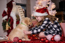 Young Child Surprised With A Golden Retriever Puppy Dog Present Under The Tree On Christmas Morning. 