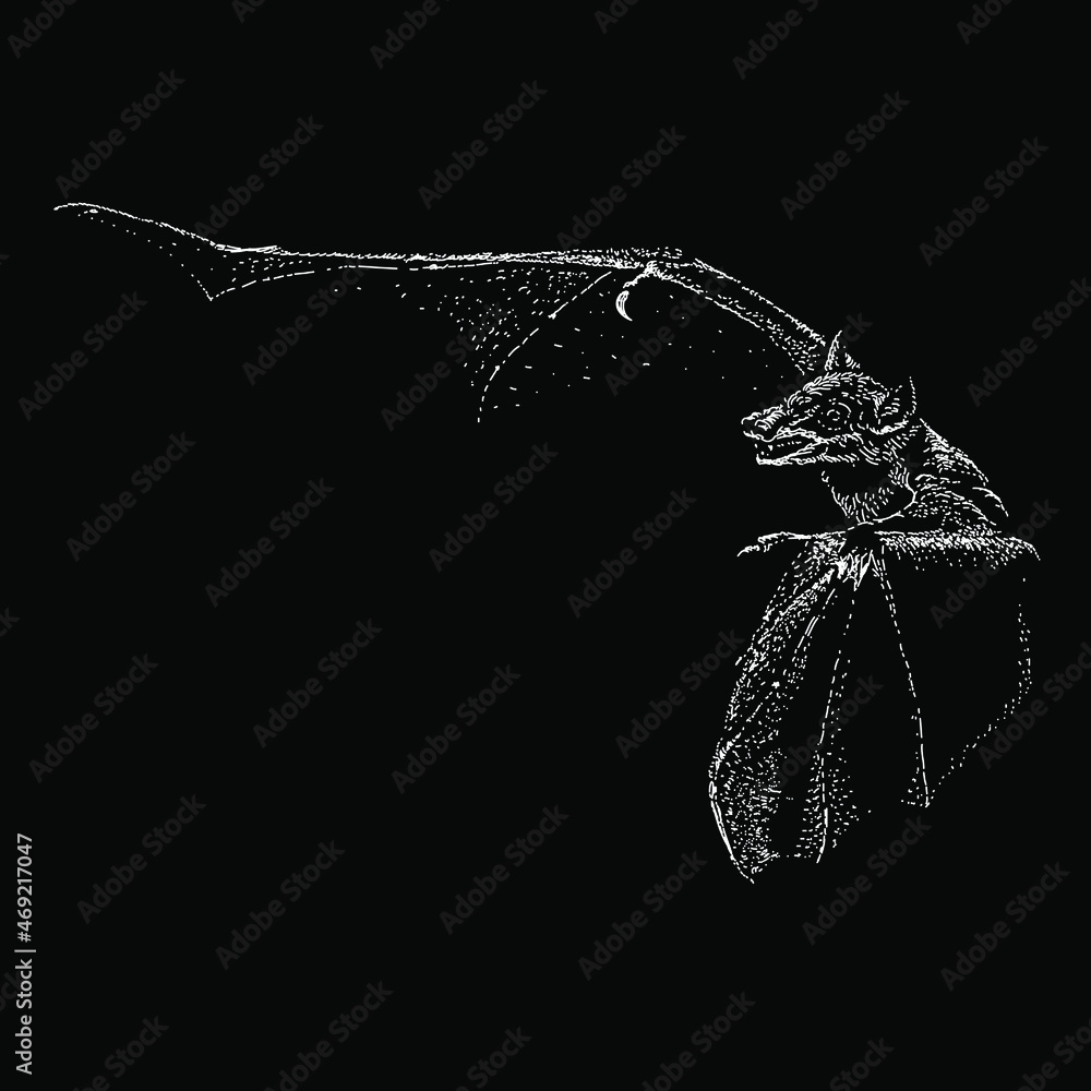 bat vector hand drawing illustration in scratch style. vector isolated ...