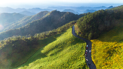 Wall Mural - Aerial view beautiful asphalt mountain road with green forest and yellow flower mountain hill road, Highway through the park, Winding road in forest colorful landscape with curved roadway.