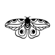 Night Moth With Crescent Moon Isolated On White . Hand Drawn Black Celestial Doodle Moth Vector.
