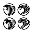 Cobra Silhouette Set Vector Logo Design