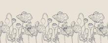 Vector Horizontal Hand Darwn Poppy Flower. Seamless Border. Eps 10. Line-art Botanical Illustration. Floral Backdrop