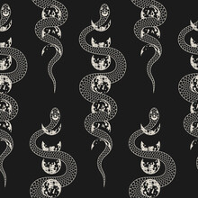 Hand Drawn Seamless Pattern With Snake Wrapping Around The Moon. Celestial Texture For Wrapping Paper, T-shirt Design, Fabric And Covers.