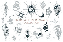 Floral And Celestial Snakes Collection. Vector Isolated Set Of Mystical Witchy Elements For Tattoo,  T-shirt Design, Fabric.
