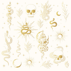 hand drawn gold celestial and floral snakes collection. golden mystical vector isolated set for t-sh