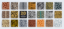 Wild Safari Animal Seamless Pattern Collection. Vector Leopard, Cheetah, Tiger, Giraffe, Zebra, Snake Skin Texture Set For Fashion Print Design, Fabric, Textile, Wrapping Paper, Background, Wallpaper